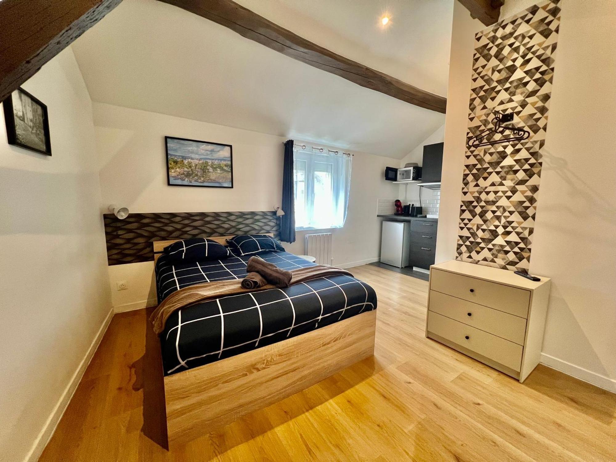 Studios Ideal Pro I Centre-Ville & Parking Gratuit Châtellerault Eksteriør billede